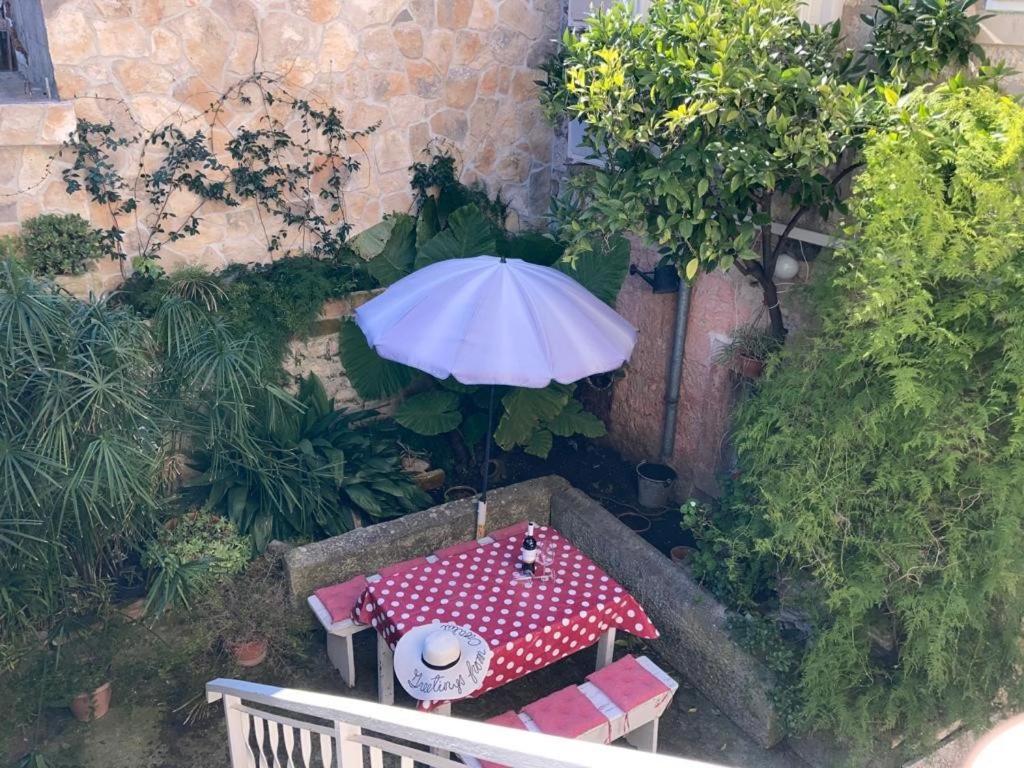 וויס Korzo Rooms & Apartments מראה חיצוני תמונה